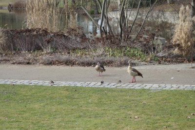 DSC06952.JPG