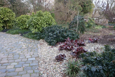 DSC07001.JPG