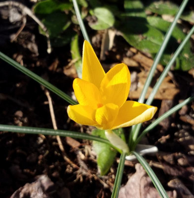 20190224_141935.jpg