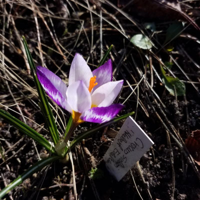 20190224_134209.jpg