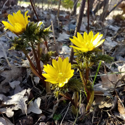 20190224_134238.jpg