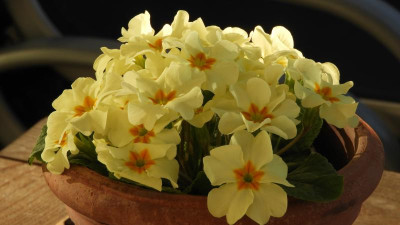 DSCN4061.JPG