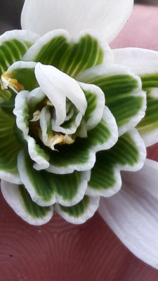 20190224_102926.jpg