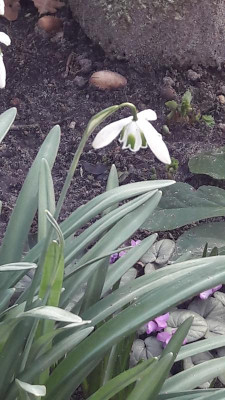 20190224_102831.jpg