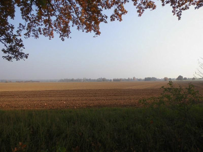 DSCI0901.JPG