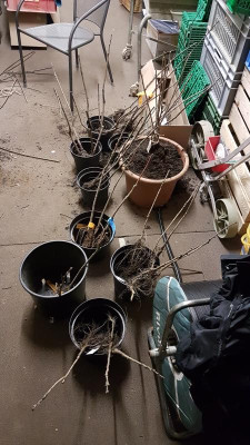 20190224_192145.jpg