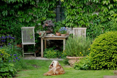 Sitzplatz-mit-Wachhund.jpg