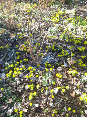 20190225_131344.jpg