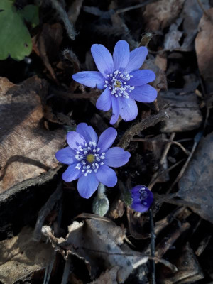 20190225_191834.jpg
