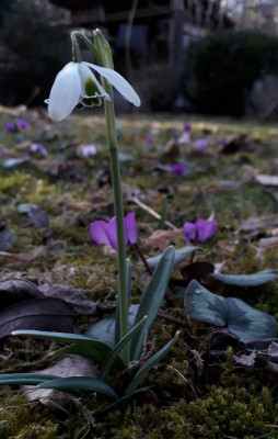 20190225_191652.jpg