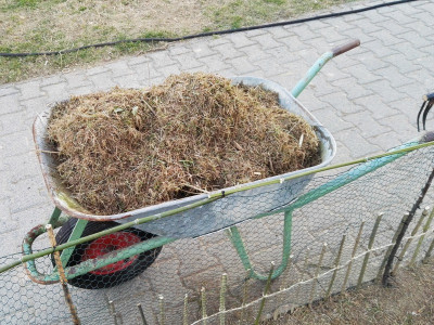 2019-02-26_17-37-06.jpg