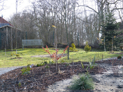 2019-02-17 Birkenhain 1.jpg