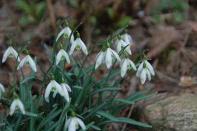DSC_4836.JPG