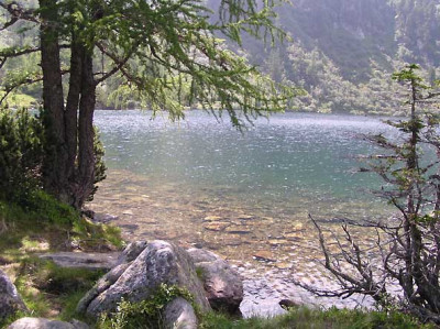 kaltes_klares_wasser.jpg