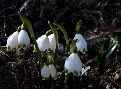 20190226_233008.jpg