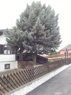 WP_20190214_001.jpg