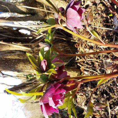 20190227_143950.jpg