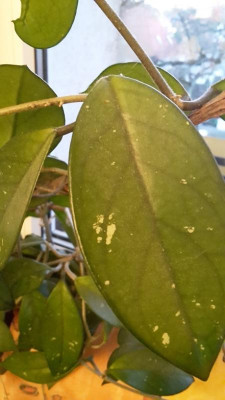 20190227_174502.jpg
