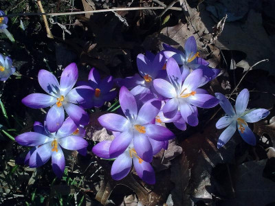 Bild0233.jpg