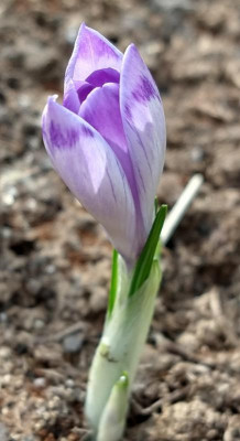 IMG_20190228_122635750_HDR~2.jpg