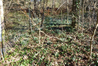 Oberhalb Friedhof.jpg