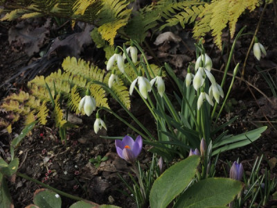 DSCN3474_3753.JPG