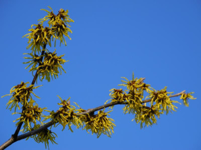 DSCN4036.JPG