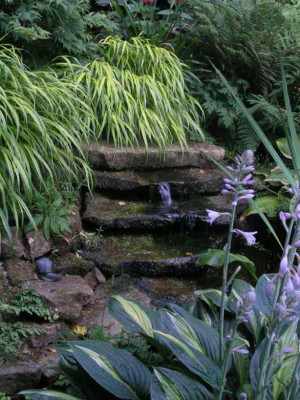 Wasser_mit_Denkmal.jpg