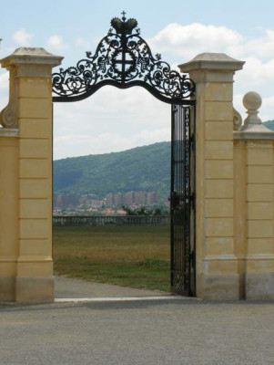 schloss_schlosshof_gartentage_2007-05.jpg