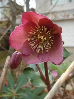 DSC05927.JPG