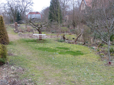 2019-03-02 Garteneinblicke 1.jpg