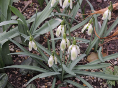 DSCN3501_3759.JPG