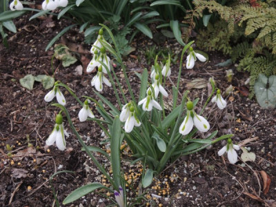 DSCN3502_3760.JPG