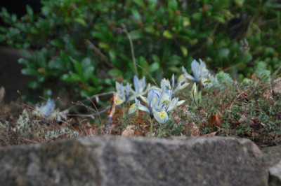DSC_4862.JPG