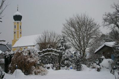 Feb.21010.jpg