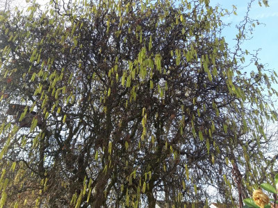 20190303_101622.jpg