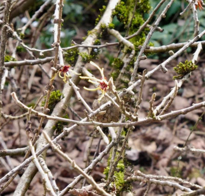 P1050043.jpg