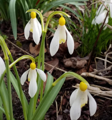 20190305_110723.jpg
