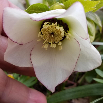 20190305_110430.jpg
