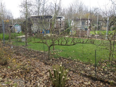 Buchs letalicutierung.jpg
