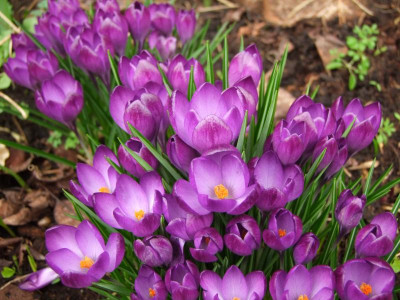 06.03.2019 13-27-24_7980.jpg