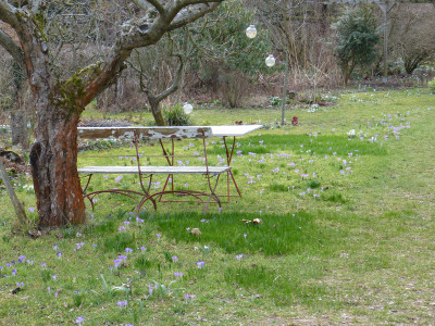 2019-03-06 Garteneinblick 1.jpg