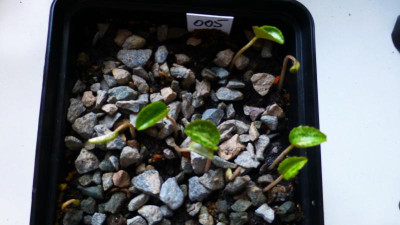 P1220061.JPG
