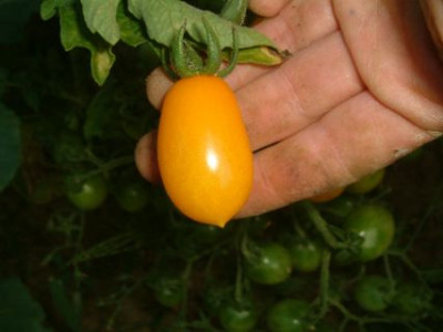 DSCF0303.JPG