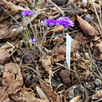 20190307_142622.jpg