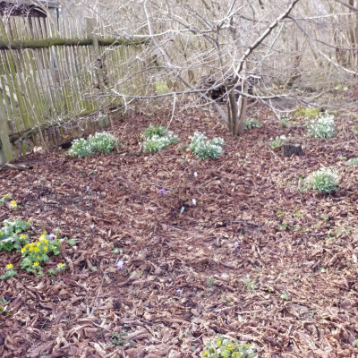 20190307_142539.jpg