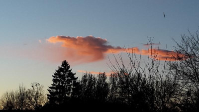 20190307_175655.jpg