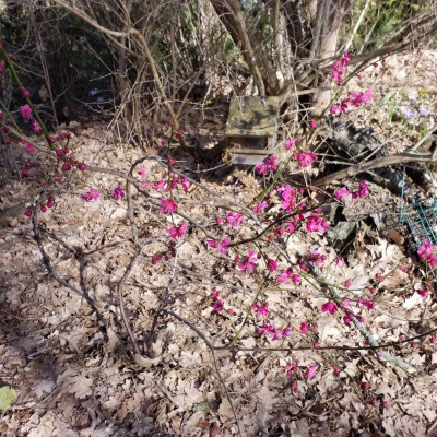 20190307_125620.jpg