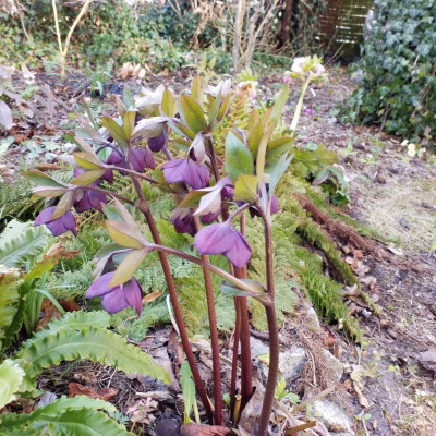 20190307_124915.jpg