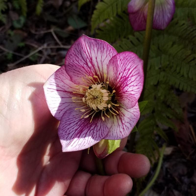 20190307_125020.jpg